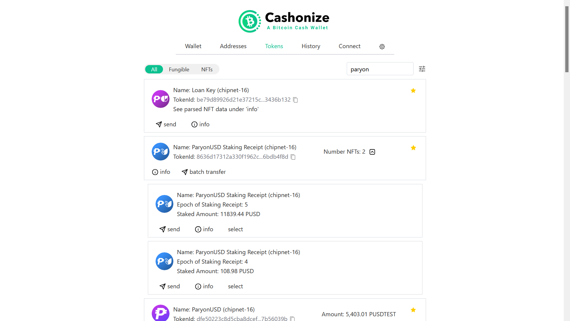 Cashonize displaying ParyonUSD tokens with parsed BCMR metadata